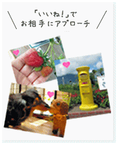 京都の結婚相談所 / アムズブライダル ホーム画像C